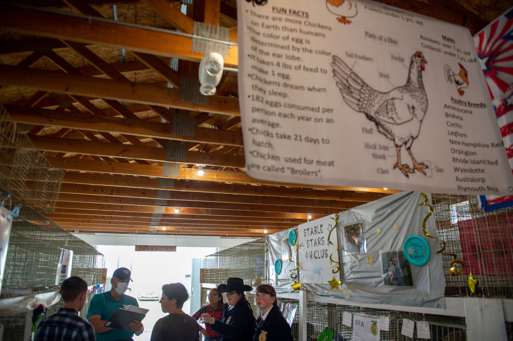 FFA/4-H Poultry Judging at the Twin Falls County Fair